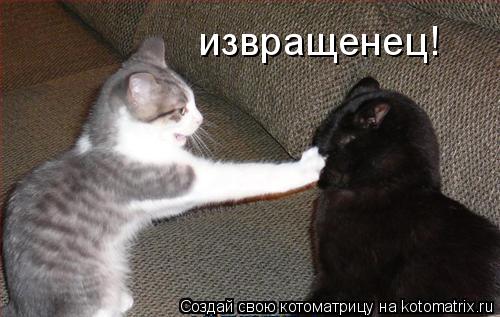 Котоматрица: извращенец!