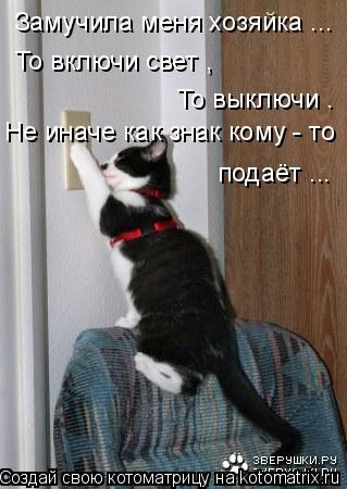 Котоматрица: Замучила меня хозяйка ... То включи свет ,  То выключи . Не иначе как знак кому - то подаёт ...