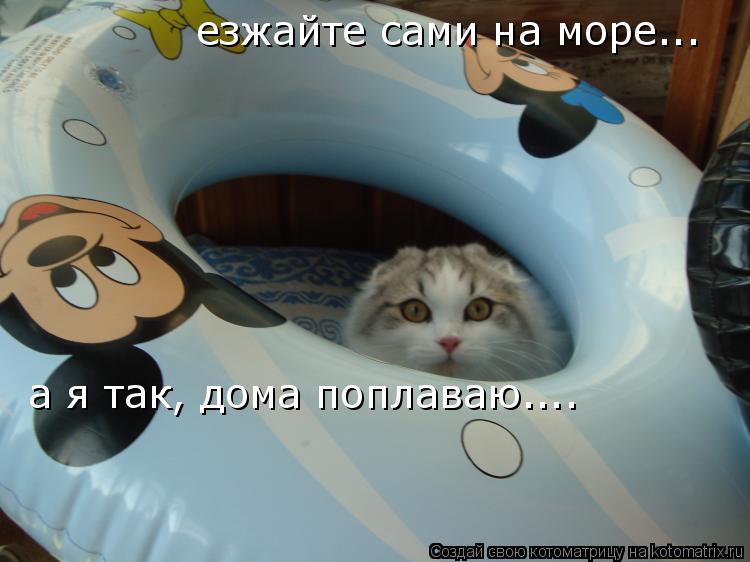Котоматрица: езжайте сами на море...  а я так, дома поплаваю....