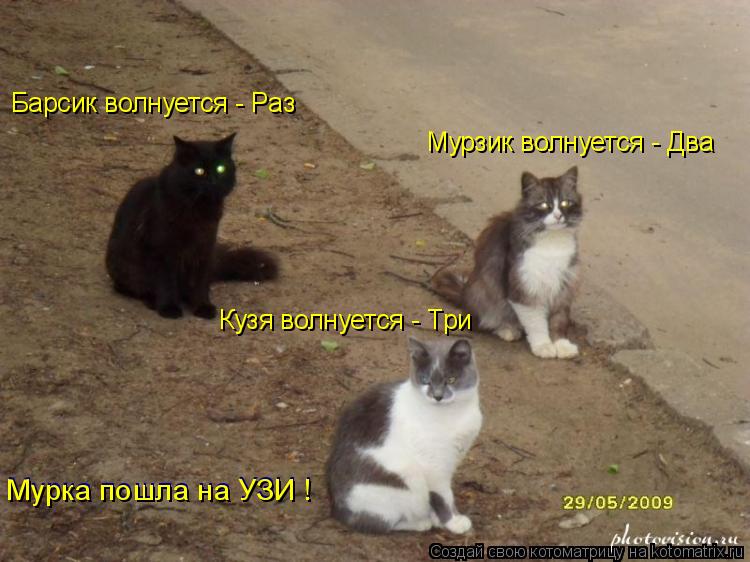 Котоматрица: Барсик волнуется - Раз Мурзик волнуется - Два Кузя волнуется - Три Мурка пошла на УЗИ ! Мурка пошла на УЗИ !