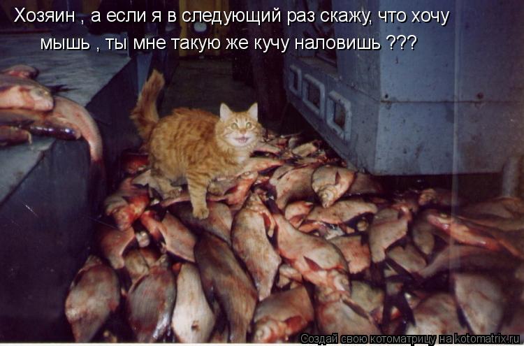 Котоматрица: Хозяин , а если я в следующий раз скажу, что хочу мышь , ты мне такую же кучу наловишь ???