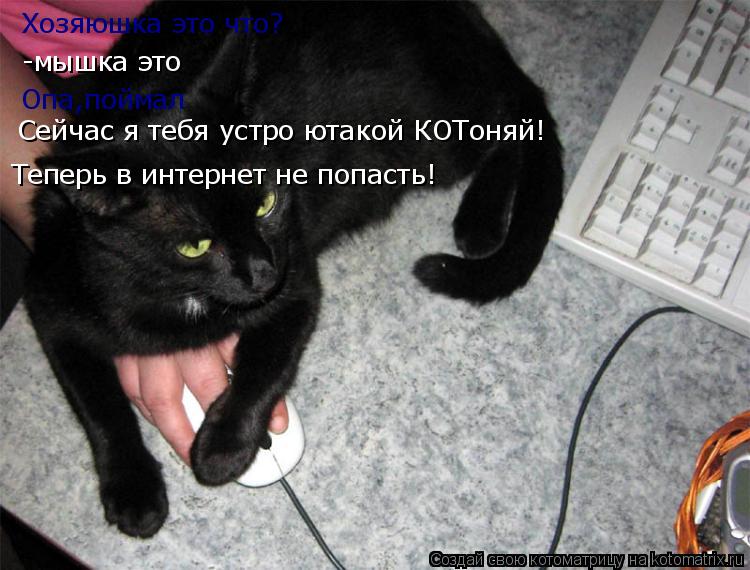 Котоматрица: Хозяюшка это что? -мышка это Опа,поймал Сейчас я тебя устро ютакой КОТоняй! Теперь в интернет не попасть!