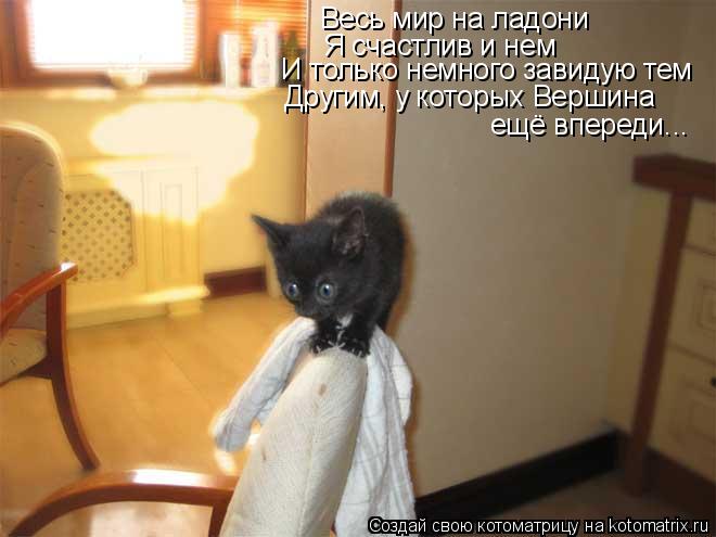 Котоматрица: Весь мир на ладони Я счастлив и нем И только немного завидую тем Другим, у которых Вершина ещё впереди...