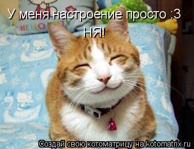 Котоматрица: У меня настроение просто :3 НЯ!