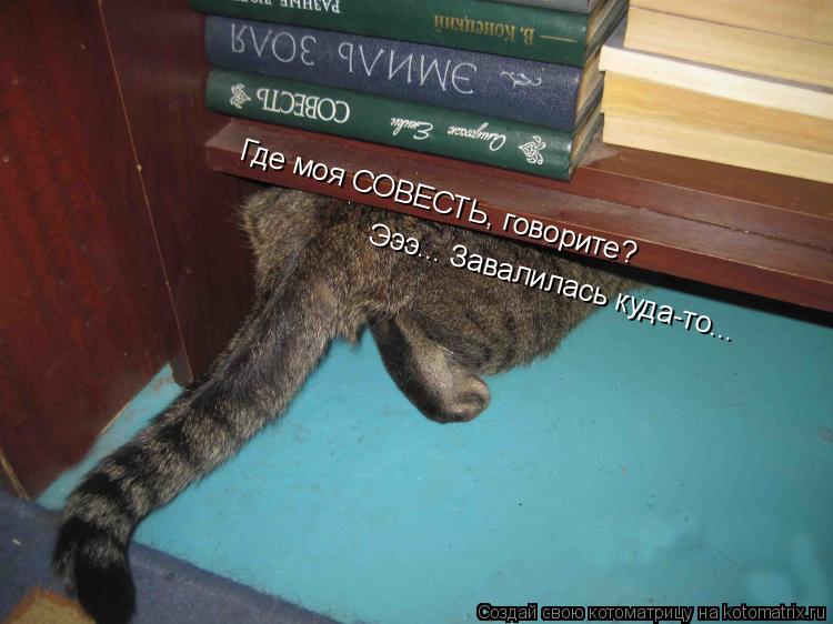 Котоматрица: Где моя СОВЕСТЬ, говорите? Эээ... Завалилась куда-то...