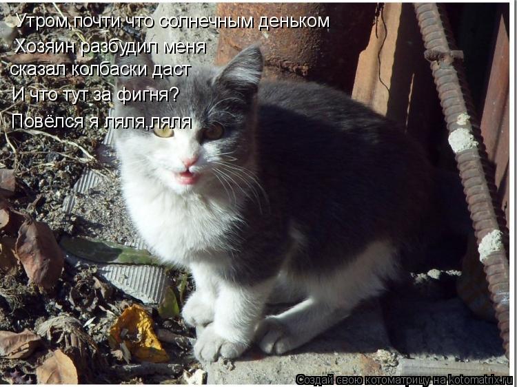 Котоматрица: Утром,почти что солнечным деньком Хозяин разбудил меня сказал колбаски даст И что тут за фигня? Повёлся я ляля,ляля