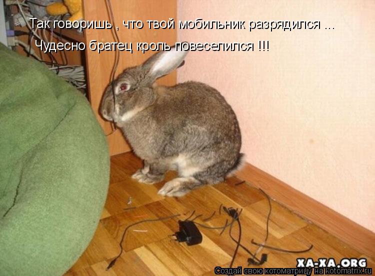 Котоматрица: Так говоришь , что твой мобильник разрядился ...  Чудесно братец кроль повеселился !!!