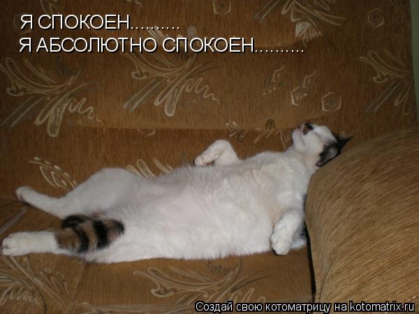 Я СПОКОЕН.......... Я АБСОЛЮТНО СПОКОЕН............. Котоматрица: Я СПОКОЕН.......... Я АБСОЛЮТНО СПОКОЕН..........
