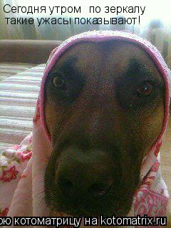 Сегодня утром по зеркалу такие ужасы показывают!... Котоматрица: Сегодня утром по зеркалу такие ужасы показывают!