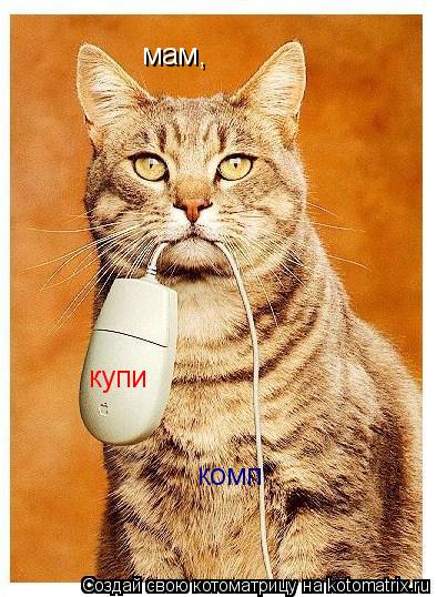 мам, купи комп... Котоматрица: мам, купи комп