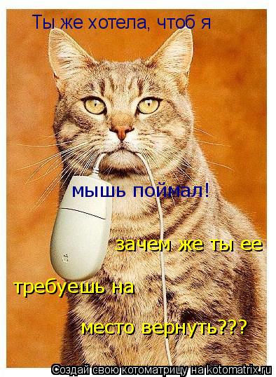 Ты же хотела, чтоб я мышь поймал! зачем же ты ее требуешь на место вернуть???... Котоматрица: Ты же хотела, чтоб я мышь поймал! зачем же ты ее требуешь на место вернуть???