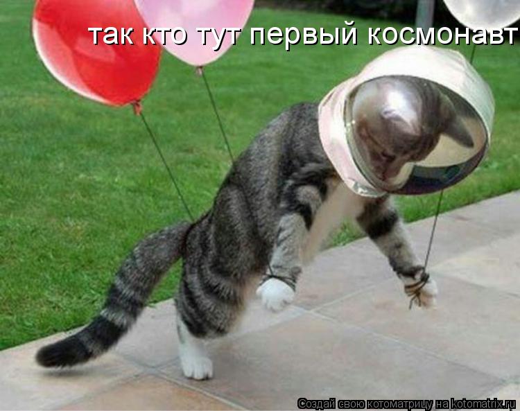 так кто тут первый космонавт?... Котоматрица: так кто тут первый космонавт?