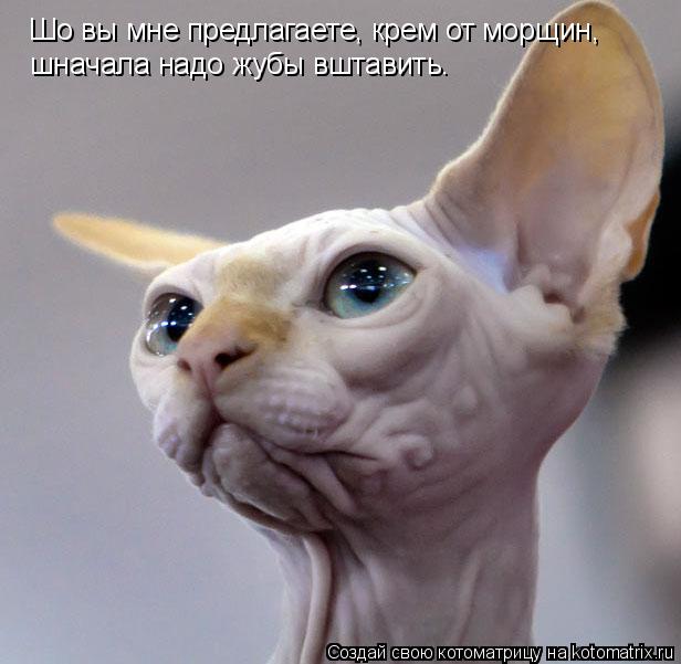 Шо вы мне предлагаете, крем от морщин, шначала надо жубы вштавить.... Котоматрица: Шо вы мне предлагаете, крем от морщин, шначала надо жубы вштавить.