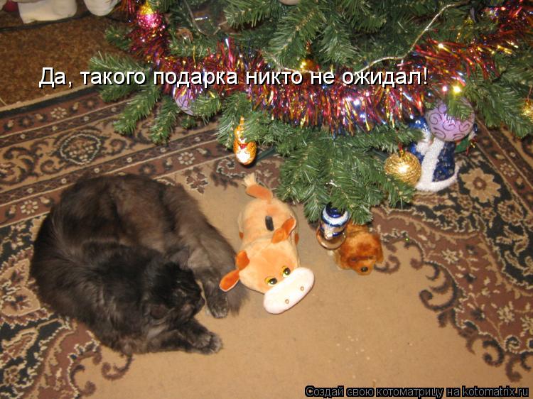 Да, такого подарка никто не ожидал!... Котоматрица: Да, такого подарка никто не ожидал!