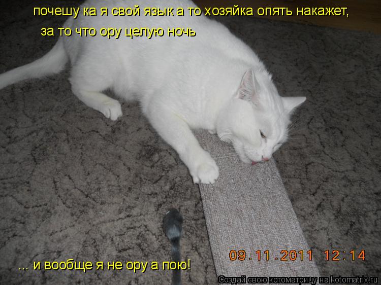 почешу ка я свой язык а то хозяйка опять накажет за то что ору целую ночь... и вообще я не ору а пою!... Котоматрица: почешу ка я свой язык а то хозяйка опять накажет за то что ору целую ночь... и вообще я не ору а пою! почешу ка я свой язык а то хозяйка опять на