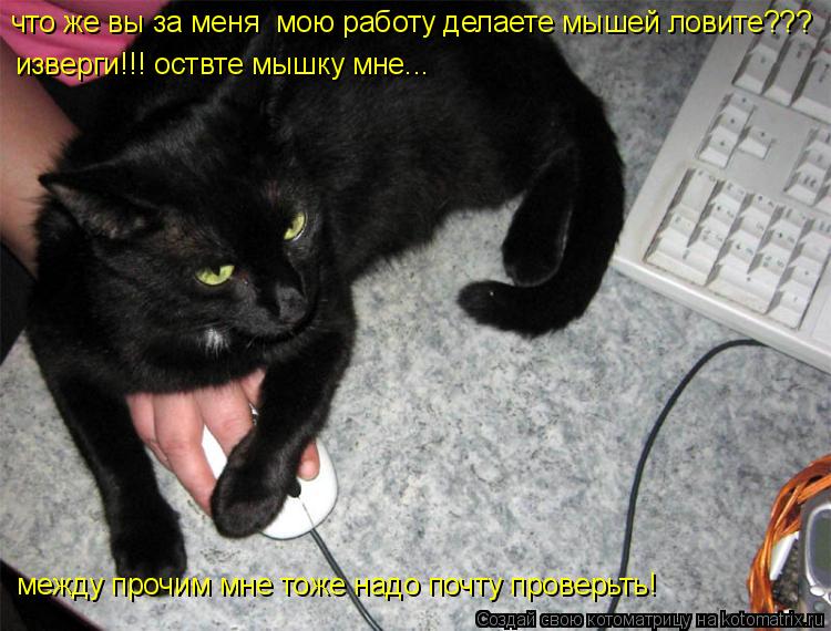 что же вы за меня мою работу делаете мышей ловите??? изверги!!! оствте мышку мне... между прочим мне... Котоматрица: что же вы за меня мою работу делаете мышей ловите??? изверги!!! оствте мышку мне... между прочим мне тоже надо почту проверьть!