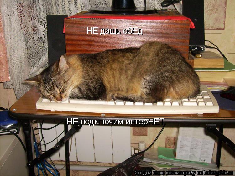 НЕ дашь обЕд НЕ подключим интерНЕТ... Котоматрица: НЕ дашь обЕд НЕ подключим интерНЕТ