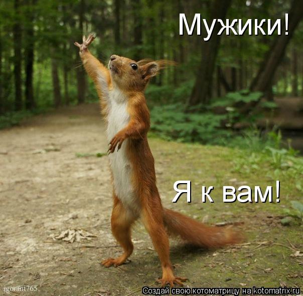 Мужики! Я к вам!... Котоматрица: Мужики! Я к вам!