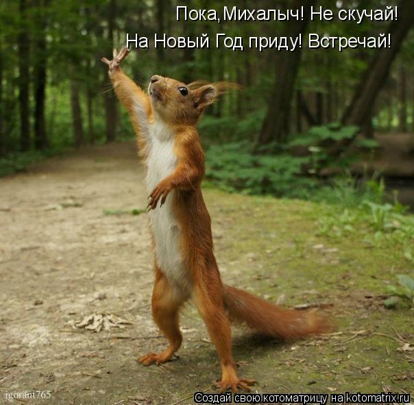 Пока,Михалыч! Не скучай! На Новый Год приду! Встречай!... Котоматрица: Пока,Михалыч! Не скучай! На Новый Год приду! Встречай!