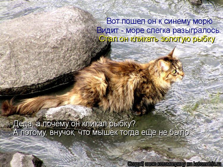 Вот пошел он к синему морю Видит - море слегка разыгралось. Стал он кликать золотую рыбку – Деда, ... Котоматрица: Вот пошел он к синему морю Видит - море слегка разыгралось. Стал он кликать золотую рыбку – Деда, а почему он кликал рыбку? – А потому, вну