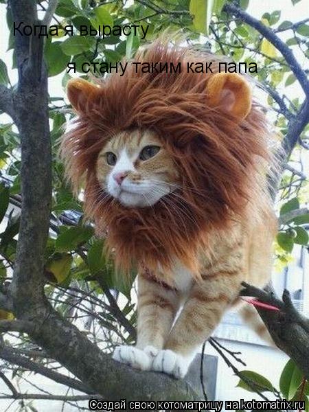 Когда я вырасту я стану таким как папа... Котоматрица: Когда я вырасту я стану таким как папа