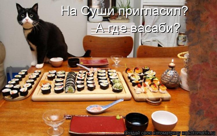 На Суши пригласил? А где васаби?... Котоматрица: На Суши пригласил? А где васаби?