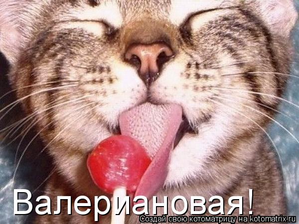 Валериановая!... Котоматрица: Валериановая!