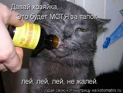 Давай хозяйка, лей, лей, лей, не жалей. Это будет МСТЯ за тапок... Котоматрица: Давай хозяйка, лей, лей, лей, не жалей. Это будет МСТЯ за тапок