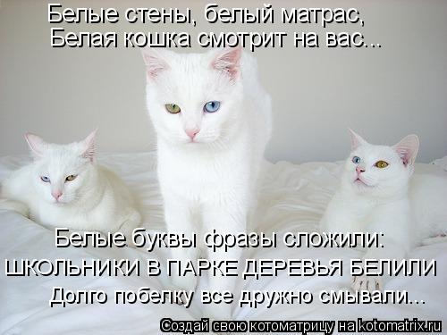 Белые стены, белый матрас, Белая кошка смотрит на вас... Белые буквы фразы сложили: ШКОЛЬНИКИ В ПАРКЕ... Котоматрица: Белые стены, белый матрас, Белая кошка смотрит на вас... Белые буквы фразы сложили: ШКОЛЬНИКИ В ПАРКЕ ДЕРЕВЬЯ БЕЛИЛИ Долго побелку все дружно