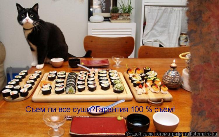 Съем ли все суши?Гарантия 100 % съем!... Котоматрица: Съем ли все суши?Гарантия 100 % съем!