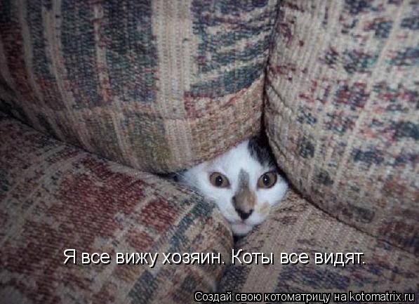 Котоматрица: Я все вижу хозяин. Коты все видят.