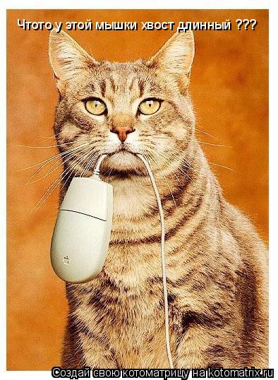 Котоматрица: Чтото у этой мышки хвост длинный ???