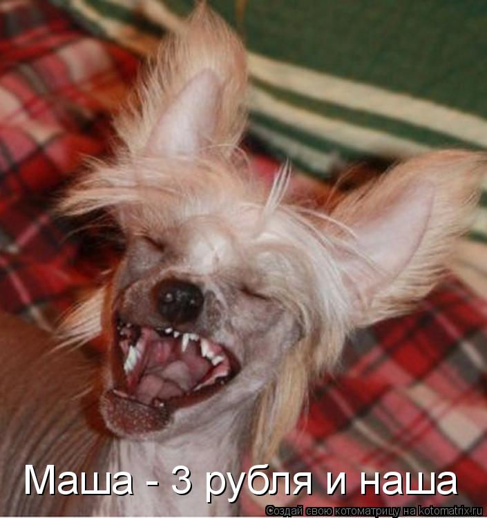 Котоматрица: Маша - 3 рубля и наша