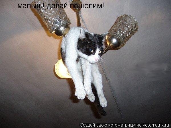 Котоматрица: малыш! давай пошолим!