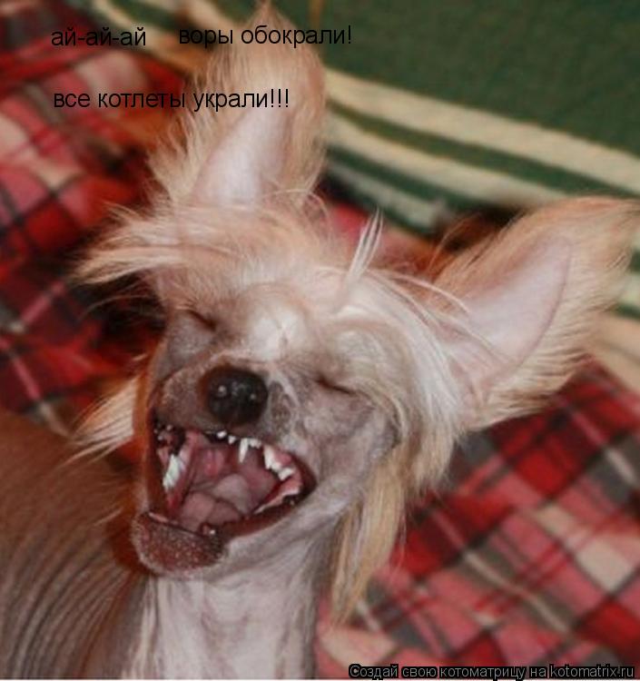 Котоматрица: ай-ай-ай воры обокрали! все котлеты украли!!!