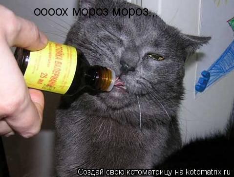 Котоматрица: оооох мороз мороз,,,