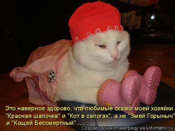 Котоматрица: Это наверное здорово, что любимые сказки моей хозяйки "Красная шапочка" и "Кот в сапогах", а не "Змей Горыныч"  и "Кощей Бессмертный".....