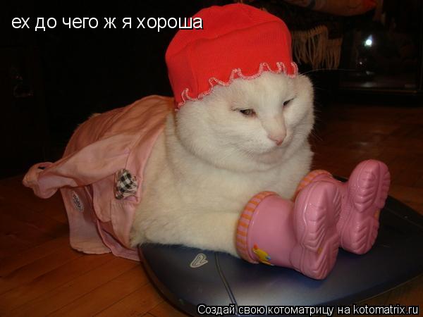 Котоматрица: ех до чего ж я хороша