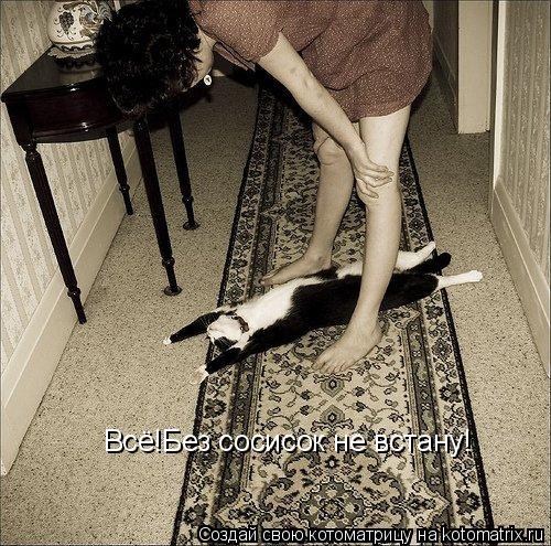 Котоматрица: Всё!Без сосисок не встану!