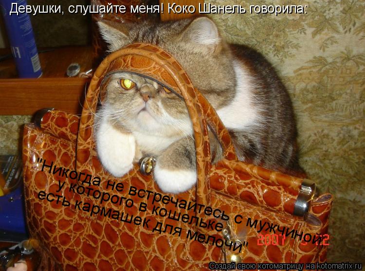Котоматрица: Девушки, слушайте меня! Коко Шанель говорила: "Никогда не встречайтесь с мужчиной, у которого в кошельке есть кармашек для мелочи"