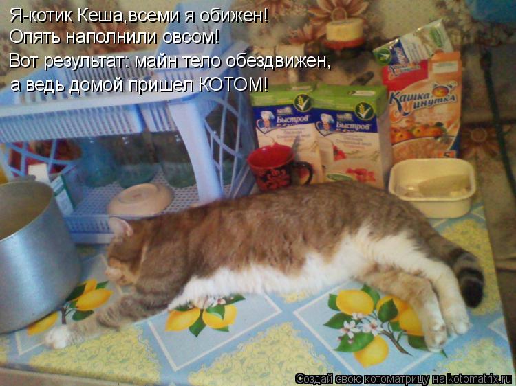 Котоматрица: Я-котик Кеша,всеми я обижен! Вот результат: майн тело обездвижен, а ведь домой пришел КОТОМ! Опять наполнили овсом!