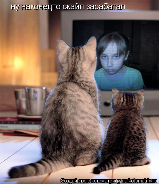 Котоматрица: ну наконецто скайп зарабатал