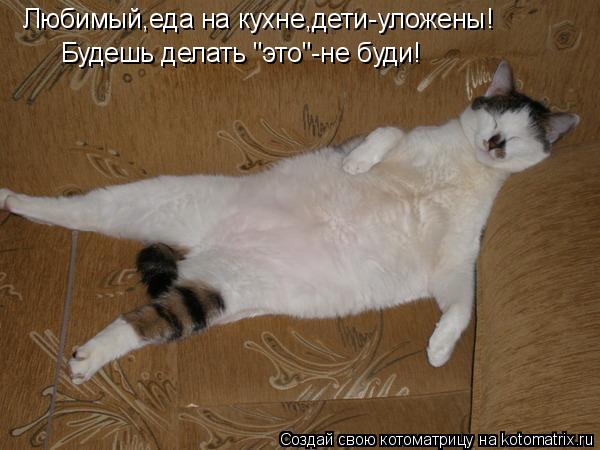 Котоматрица: Любимый,еда на кухне,дети-уложены! Будешь делать "это"-не буди!