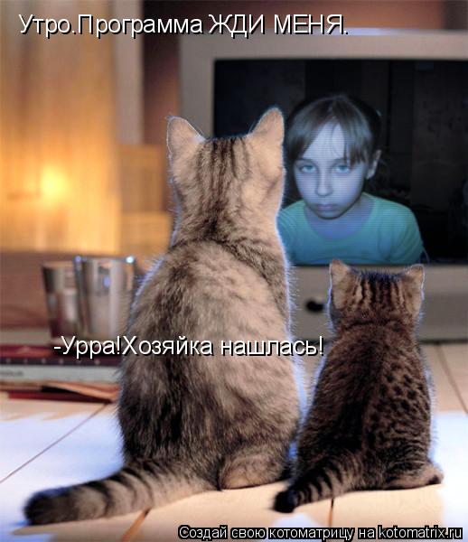 Котоматрица: Утро.Программа ЖДИ МЕНЯ. -Урра!Хозяйка нашлась!