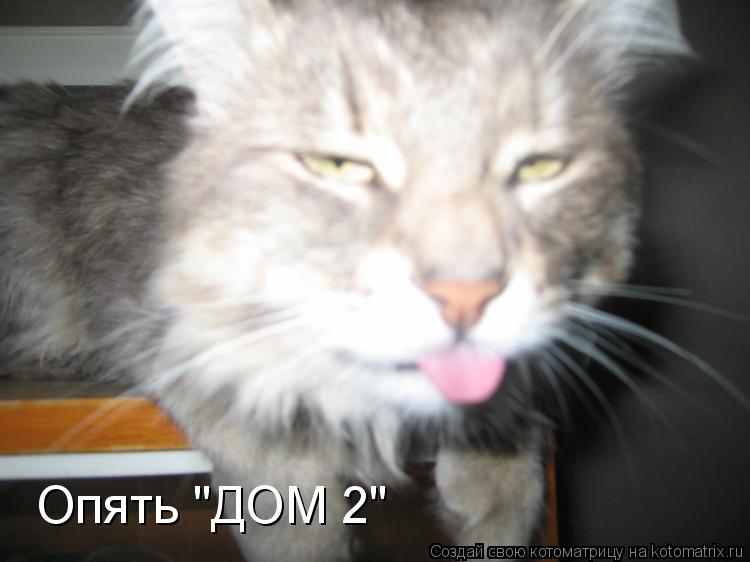 Котоматрица: Опять "ДОМ 2"