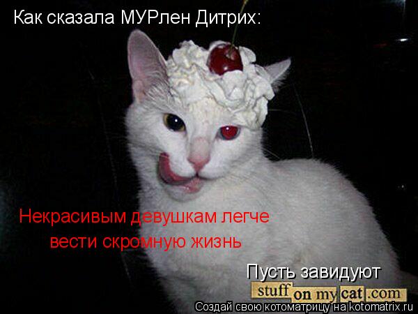 Котоматрица: Как сказала МУРлен Дитрих: Некрасивым девушкам легче вести скромную жизнь  Пусть завидуют