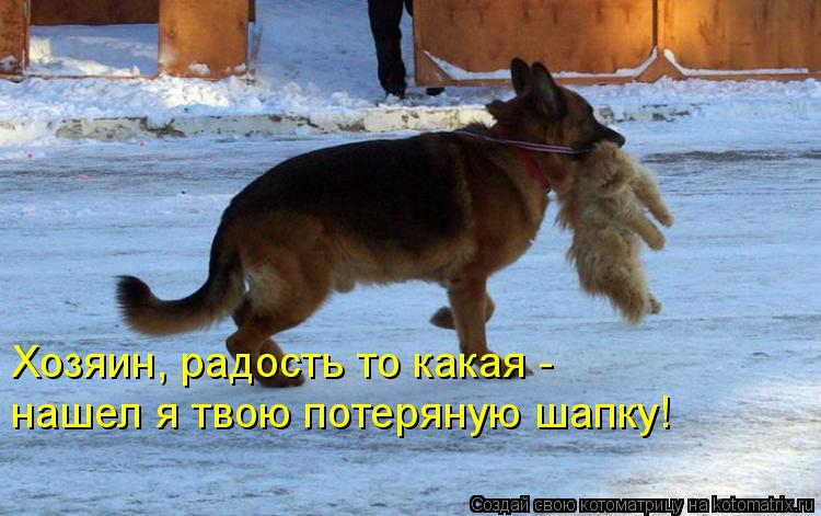 Котоматрица: Хозяин, радость то какая -  нашел я твою потеряную шапку!