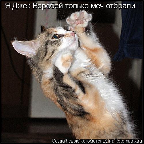 Котоматрица: Я Джек Воробей только меч отбрали