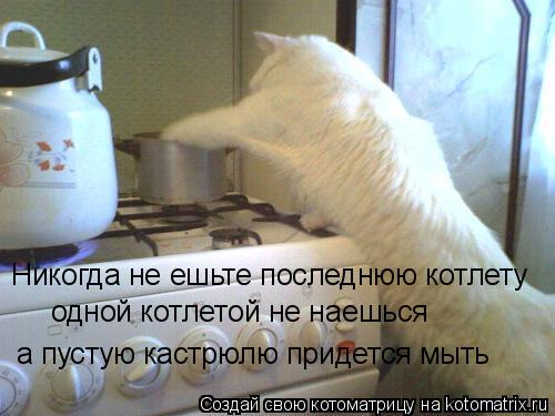 Котоматрица: Никогда не ешьте последнюю котлету одной котлетой не наешься а пустую кастрюлю придется мыть
