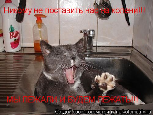 Котоматрица: Никому не поставить нас на колени!!! МЫ ЛЕЖАЛИ И БУДЕМ ЛЕЖАТЬ!!!